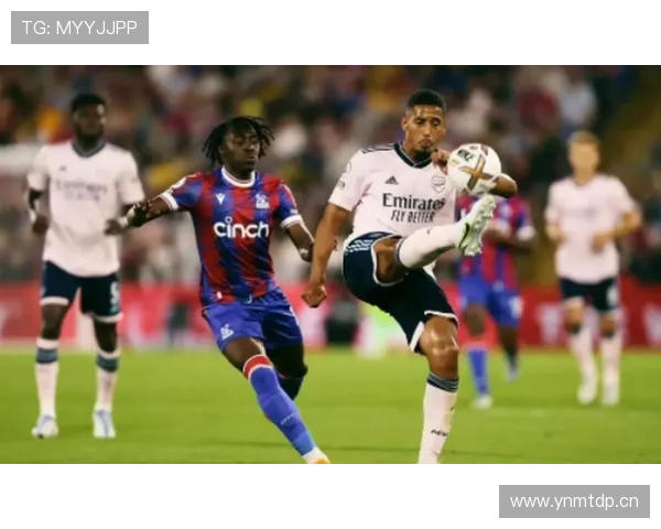 处子赛季惊艳英超：马丁内利如何一战成名