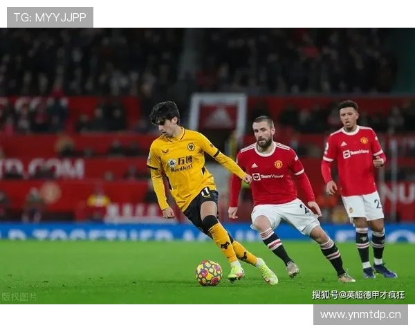 奥尔莫高位压迫参与度解析