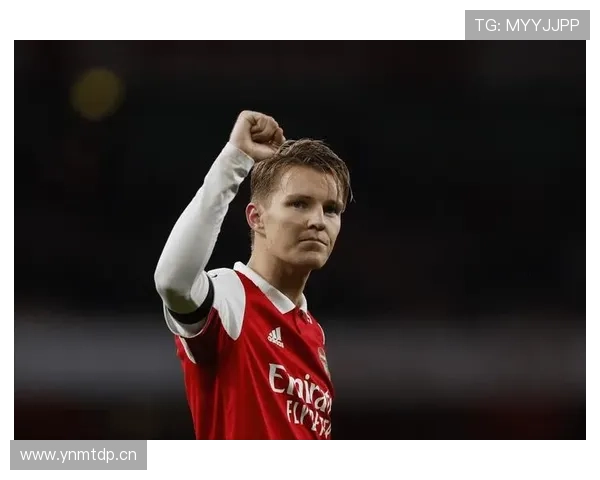 厄德高为何评价两极分化？技术风格与战术适配性关键解析